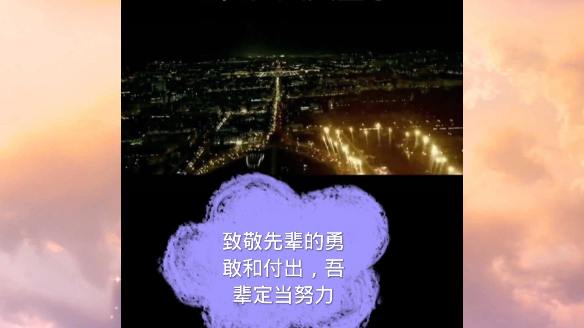 救援狗与猫