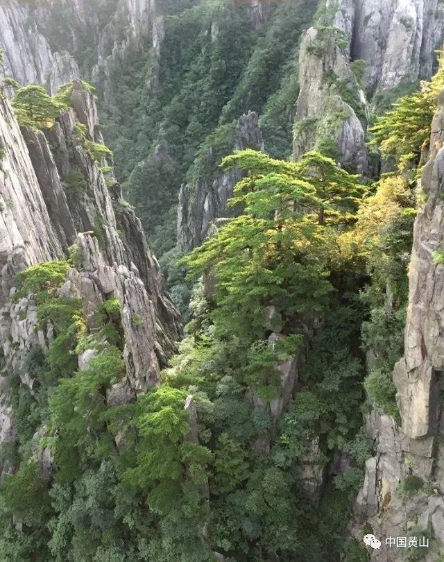 紫色系